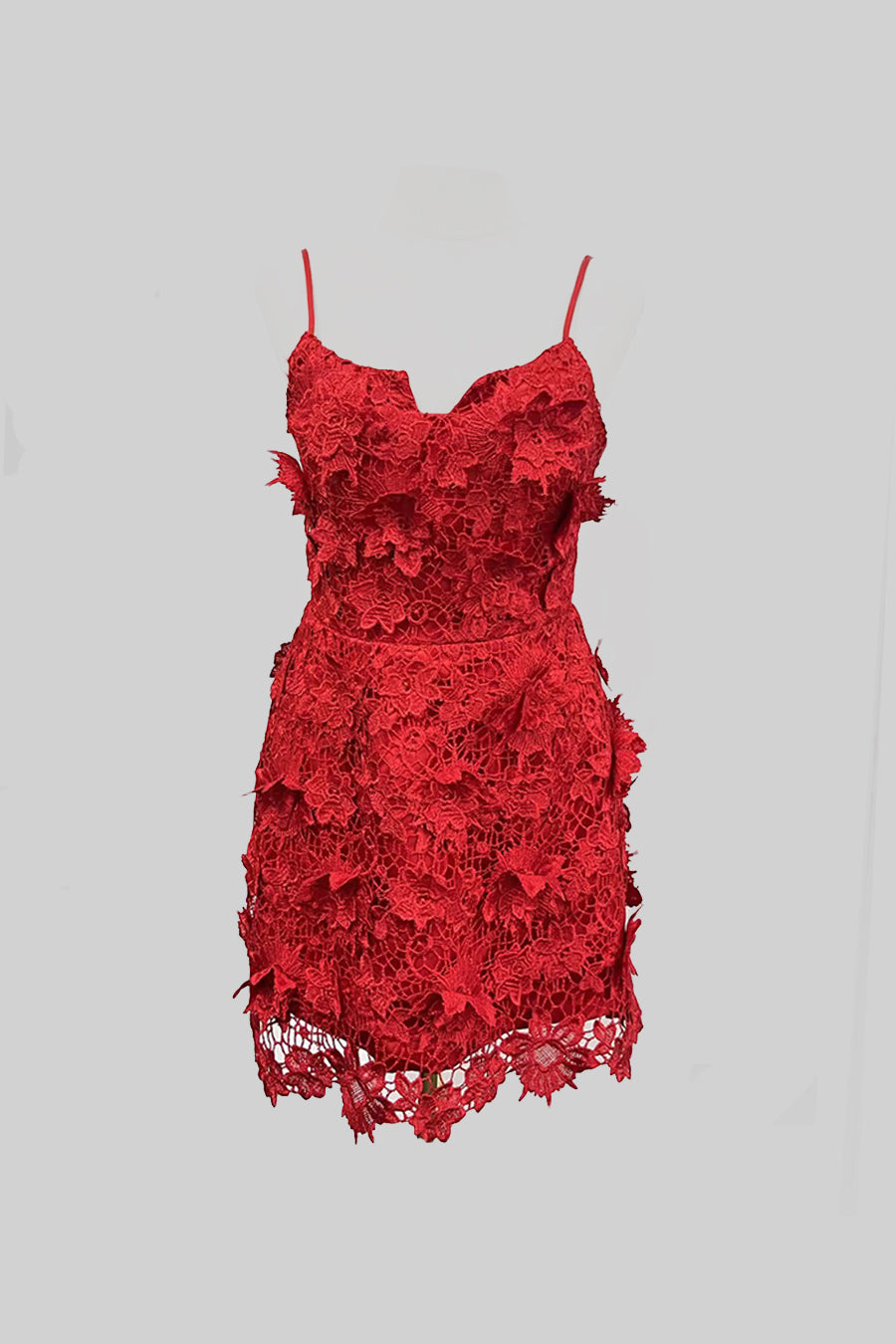 Elegant Mini Dress With Floral Lace Detailing - Red