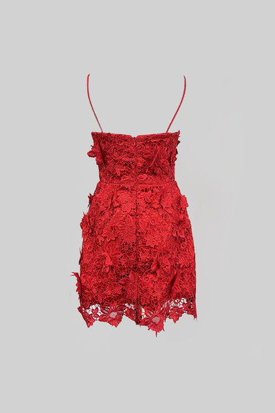 Elegant Mini Dress With Floral Lace Detailing - Red