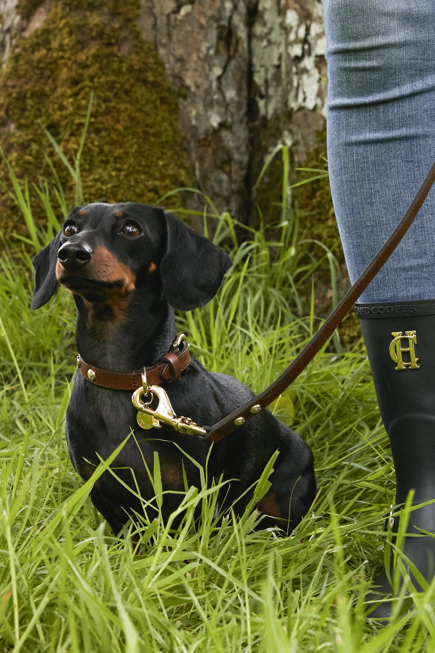 HC Slim Dog Lead (Chestnut)